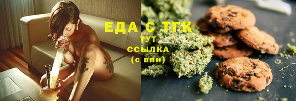 ECSTASY Алзамай