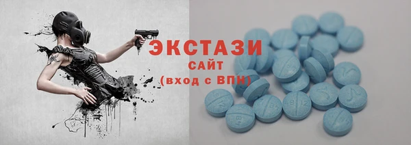 ECSTASY Алзамай