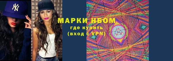 ECSTASY Алзамай